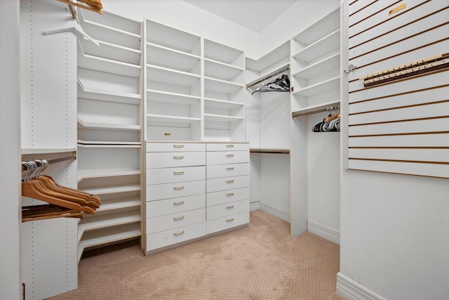 walk in closet featuring light colored carpet