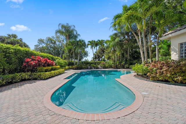 view of swimming pool featuring a patio