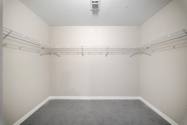 walk in closet with carpet