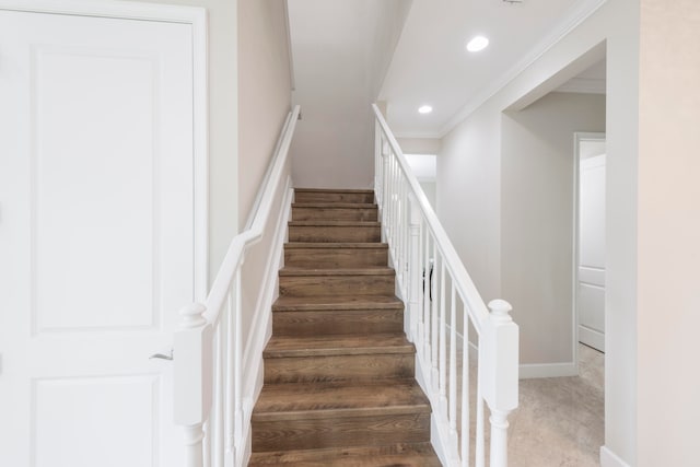 staircase featuring carpet flooring and ornamental molding