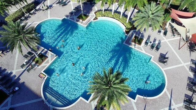 view of pool with a patio