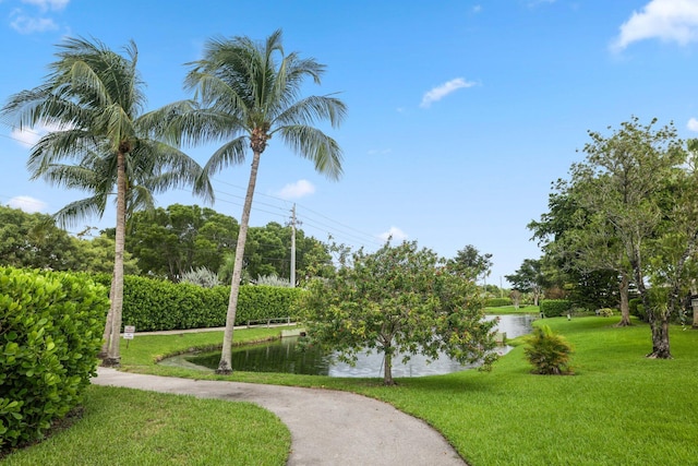 view of property's community with a yard and a water view