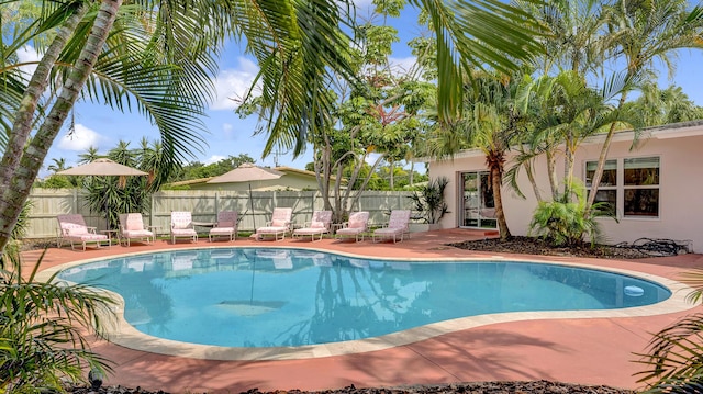 2600 NE 30th St, Fort Lauderdale, FL 33306 - view of pool with a patio area, fence, and a fenced in pool
