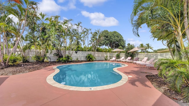 2600 NE 30th St, Fort Lauderdale, FL 33306 - view of swimming pool featuring a patio, a fenced backyard, and a fenced in pool