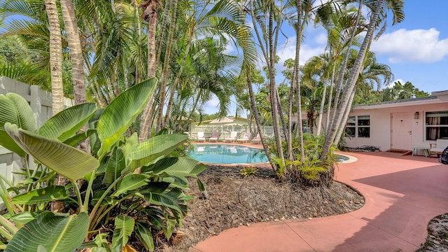 2600 NE 30th St, Fort Lauderdale, FL 33306 - view of pool with a patio, a fenced backyard, and a fenced in pool