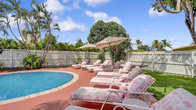 2600 NE 30th St, Fort Lauderdale, FL 33306 - view of swimming pool featuring a fenced in pool, a patio, a fenced backyard, and a yard