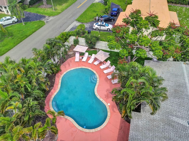2600 NE 30th St, Fort Lauderdale, FL 33306 - drone / aerial view