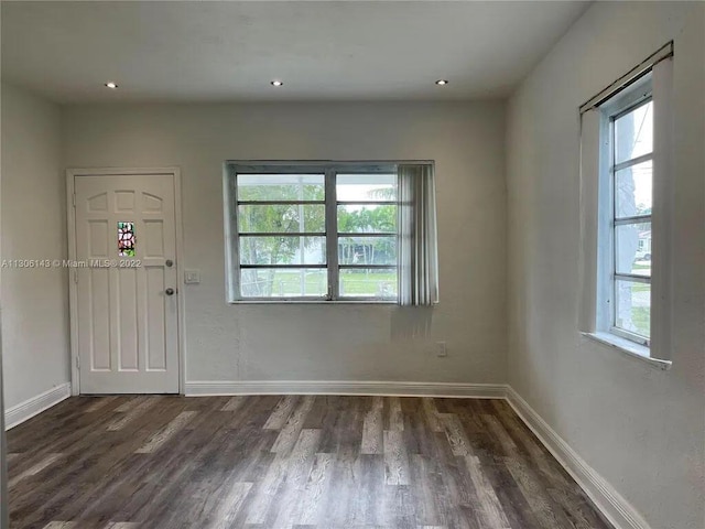 entryway featuring baseboards and a wealth of natural light