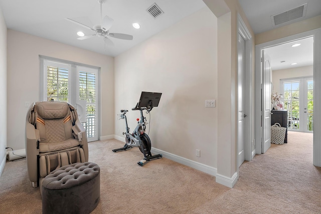 exercise area with light colored carpet and a healthy amount of sunlight