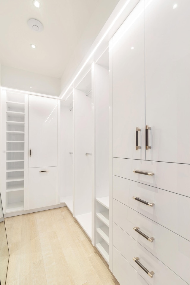 spacious closet with light hardwood / wood-style flooring