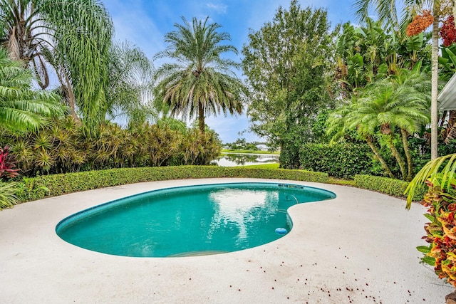 view of swimming pool featuring a patio and a water view