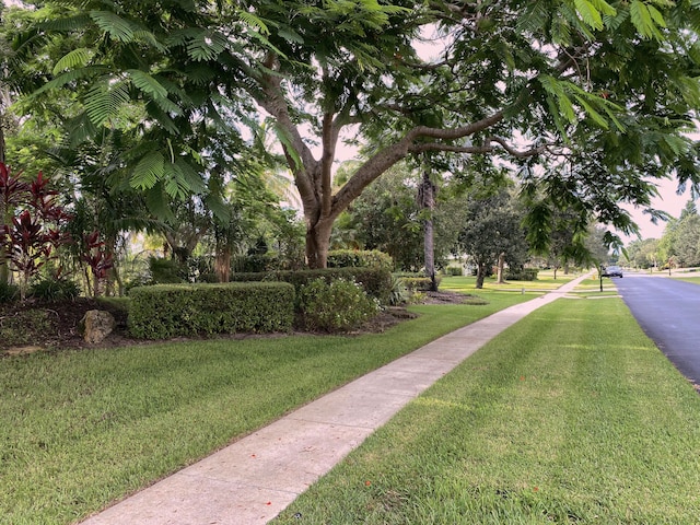 view of home's community with a yard