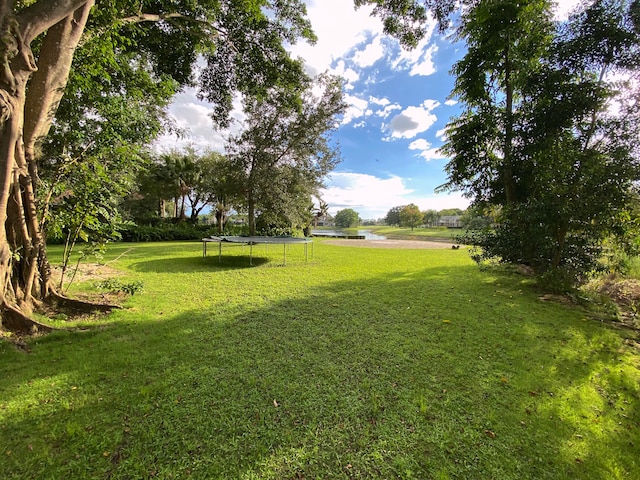 view of yard featuring a trampoline