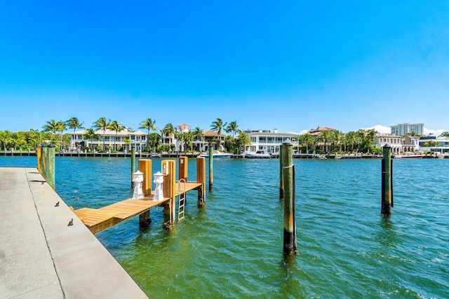 dock area featuring a water view