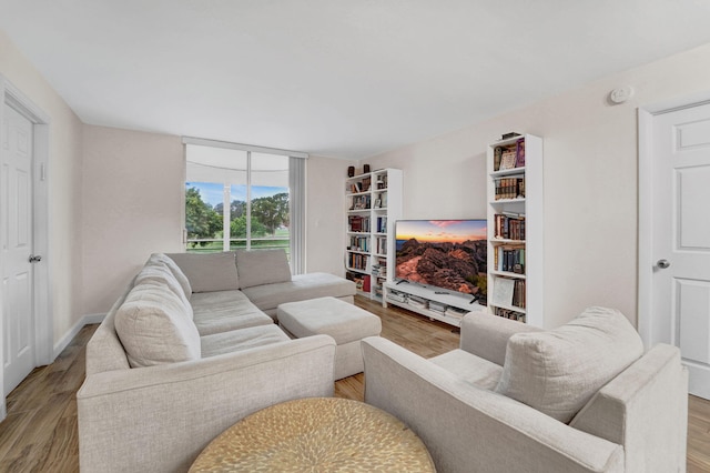 living room with light wood-type flooring