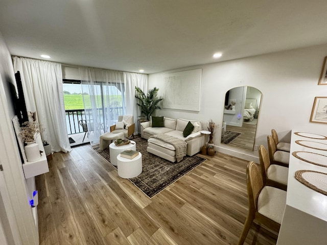 living room with hardwood / wood-style floors