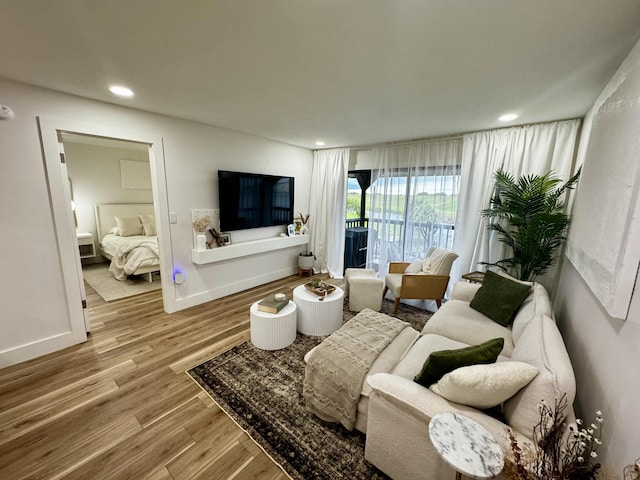 living room featuring hardwood / wood-style floors