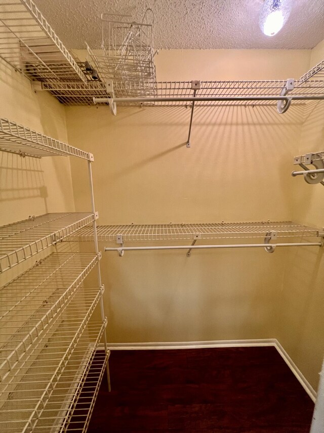 spacious closet with wood-type flooring