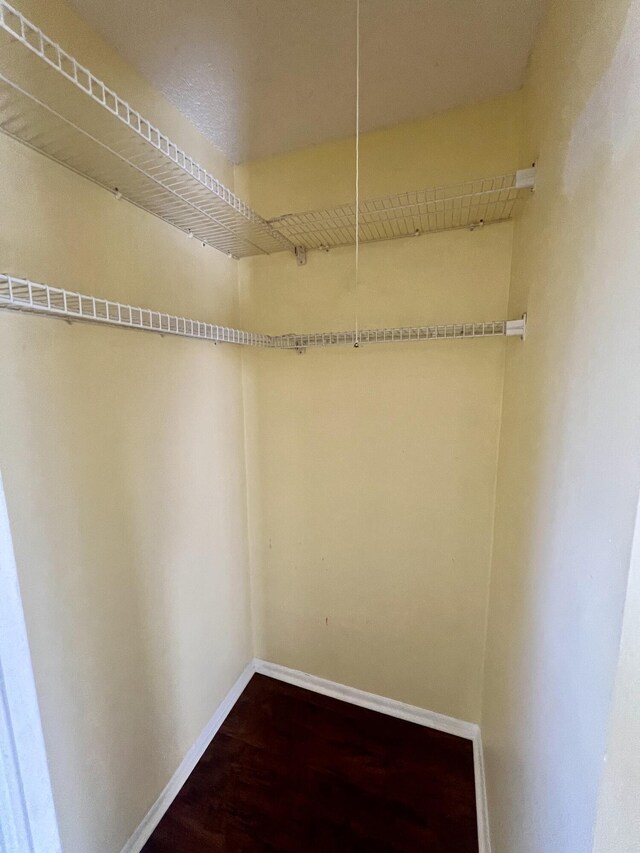 walk in closet featuring dark wood-type flooring