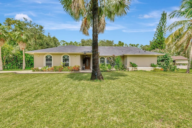 ranch-style house featuring a front lawn