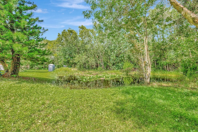 view of yard with a water view