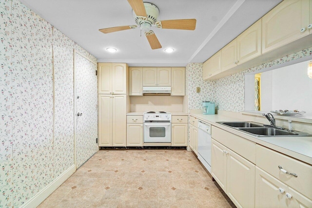 kitchen featuring white appliances, cream cabinets, sink, and ceiling fan