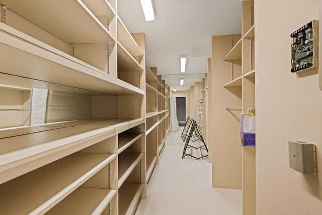 spacious closet featuring light colored carpet