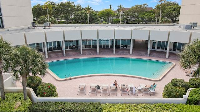 view of pool with a patio area