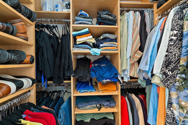 view of walk in closet