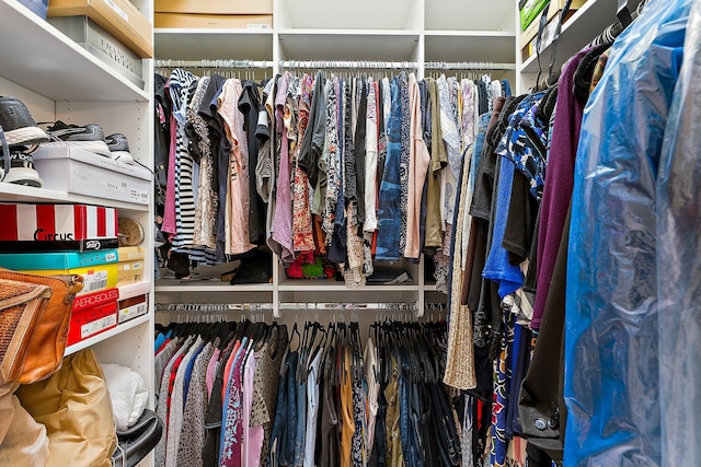 view of spacious closet