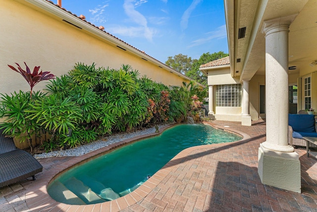 view of swimming pool with a patio area