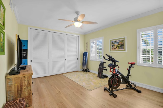 workout area with a wealth of natural light, light hardwood / wood-style flooring, and crown molding