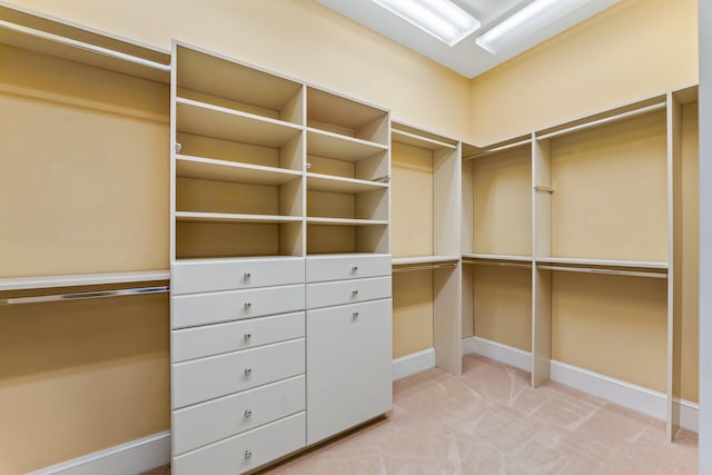 walk in closet with light colored carpet