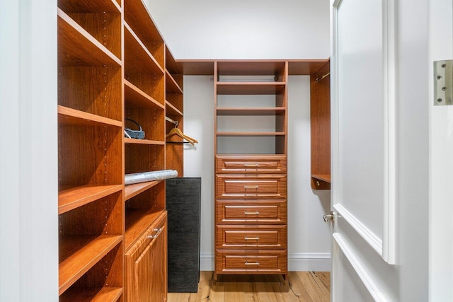 walk in closet with light wood-type flooring