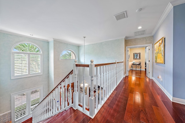 corridor with crown molding and dark hardwood / wood-style flooring