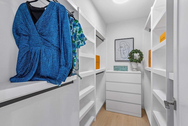 walk in closet with light hardwood / wood-style floors