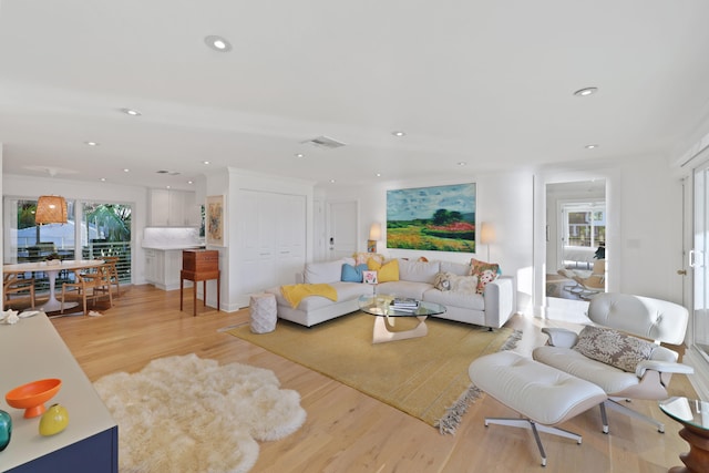 living room with a wealth of natural light and light hardwood / wood-style flooring