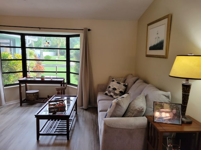 living room featuring a wealth of natural light, lofted ceiling, and hardwood / wood-style flooring