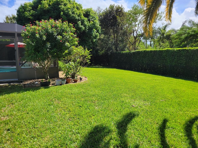 view of yard featuring a lanai