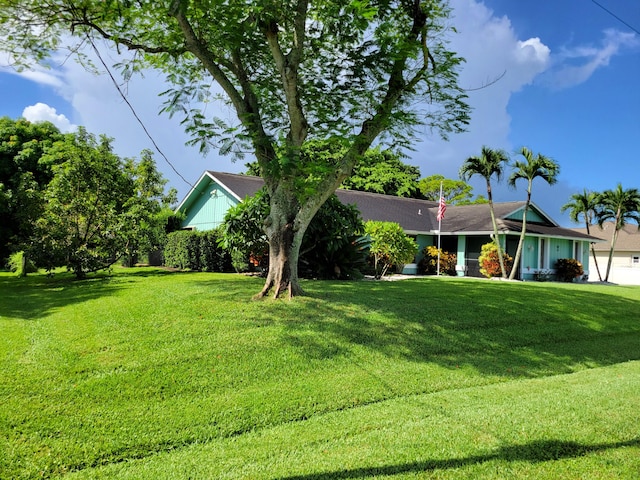 ranch-style house with a front lawn