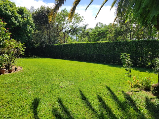 view of yard featuring fence