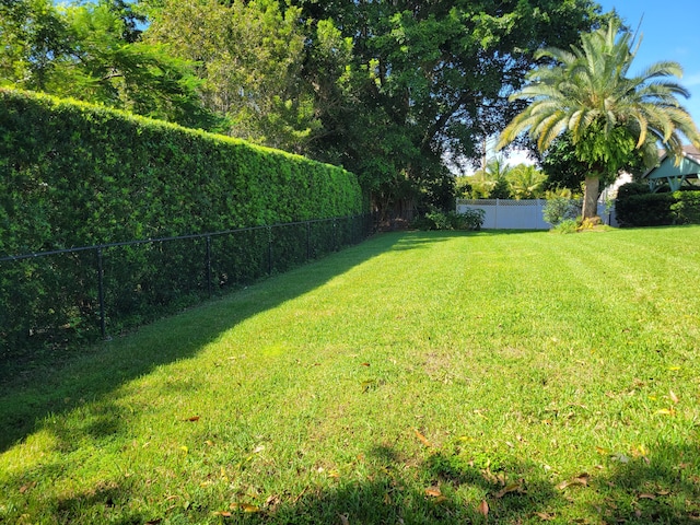 view of yard featuring a fenced backyard