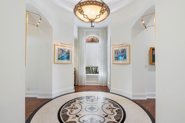 foyer with dark hardwood / wood-style flooring and a wealth of natural light