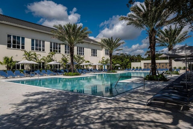 view of swimming pool with a patio area