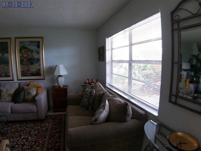 living room featuring a textured ceiling