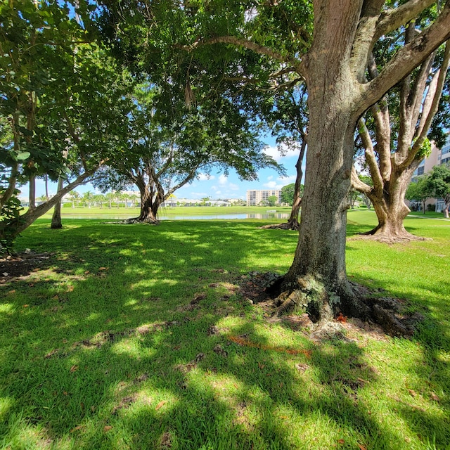 view of yard featuring a water view