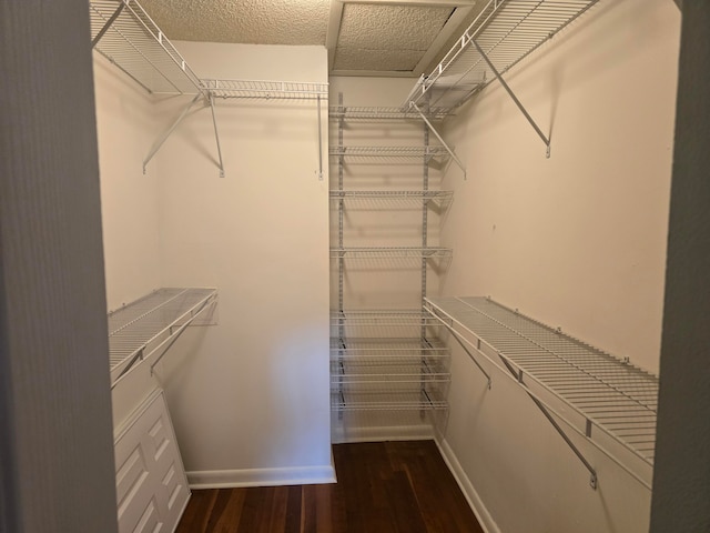 spacious closet with hardwood / wood-style flooring