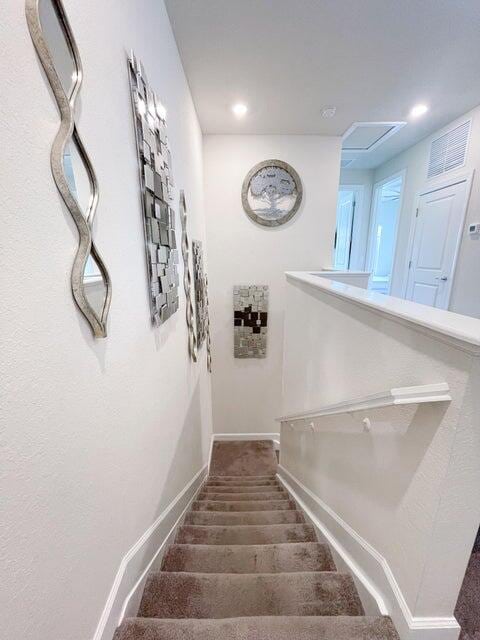 stairs with carpet