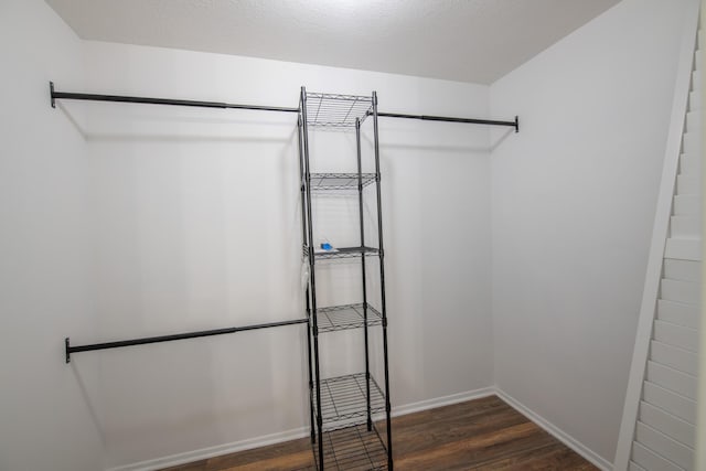 walk in closet featuring wood finished floors