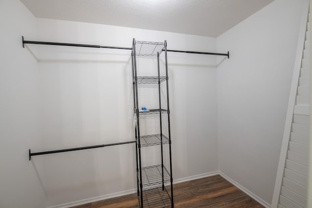 spacious closet with dark wood-type flooring